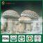 China Supplier Shiitake Mushroom Spawn Growing Log Bag Factory Price