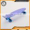 Fish plastic transparent skateboard