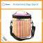 Summar food delivery mini bulk cooler bag