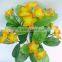 Artificial Polyester Flowers Bush H34cm Orange Stephanotis