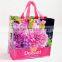 Wenzhou beautiful wholesale pp woven carton chrismas shopping bag