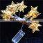 Leaf LED string light for Christmas decoration