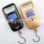 Low Cost With Best Quality Portable Mini Digital Hanging Luggage Scale 50kg/10g