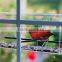 Acrylic Large Window Bird Feeder With Strong Suction Mount(B-0288)