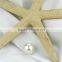 Large size cheap white perfect round 14mm shell pearl beads