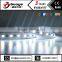New products 4-in-1 led strip for home decoration 5050 rgbw led strip