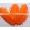 High-quality ostrich feathers 6-8 inch 15-20 cm wedding decoration