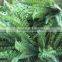 silk boston fern bush large