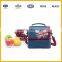 Fashionable Best Price Insulated Cooler Bag with Handle and Long Strap