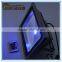 30W Remote Control Outdoor Led Flood Lights Multi Color LED Flood Lighting