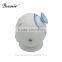 Bsonic negative ion steamer Make our skin absorb enough nutrition