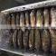 Chinese Frozen Black Tilapia /Chopa