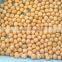 Origin Turkey Chickpeas 8mm