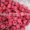 New Crop Frozen Raspberry