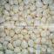 FX-128-2 Hot Sale Large Capacity Garlic Peeling Peeler Machine