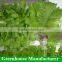 Hot sale complete hydroponics plastic film greenhouse
