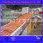 High Quality Automatic Poultry Layer Cages/Design Layer Chicken Cages/Poultry Battery Cages (professional factory)