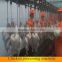 halal slaughter house /poultry slaughting machinery
