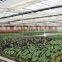 Agricultural Greenhouses Liquid Cooling Pad