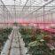 LED Grow Light for Greenhouse, Grow Tent and Hydroponic System