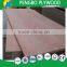 WBP Glue Furniture Grade Plywood/Bintangor Commercial Pywood/Film Faced Plywood