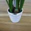 Artificial white narcissus flower bonsai