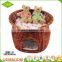 Wholesale China custom modem design 100% handmade indoor wicker luxury cat house with pet bed