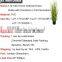Artificial potted grass onion grass for indoor decoration artifiical grass plants