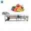 fruit and vegetable cleaning equipment blueberry washing machine orange fruit washing machine