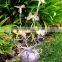 Solar Powered Butterflies with 5 Blinking LEDs Garden Solar Light 6 Pack