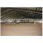 Light Steel Structure Prefabricated Agricultural Horse Ride Shed