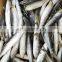 Frozen sardine OEM packing IQF for bait