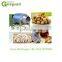 Gas heating automatic peanuts roaster/cashew almond roasting machine/roasting machines sunflower seeds