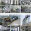 CHINA Market vegetable processing machine apple orange onion  production  line