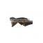 Sinotruk Sitrak C5H/C7H China Heavy Truck Spare Parts 811W25424-5008 Cover