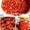 Good Quality High Output Chilli Grinding Machine