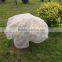 China Garden nonwoven fabric wholesale