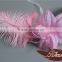 Wholesale Masquerade Mask Ostrich Feather Decorations