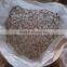 Lime powder - Best in Vietnam - quicklime origin in Vietnam/ lime powder for water treatment
