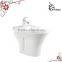 Hidden camera bidet toilet