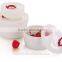 2016 Food Grade Microwave Safe Food Container Plastic fruit fresh container with pull ring