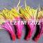 Dyed coque feather tails LZXW086