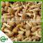 Edible Fungus Mushroom Frozen Nameko