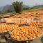 2015 Chinese dried frost persimmons