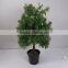 High Quality Natural Look Artificial Bonsai Tree Ornamental Plants With Best Price