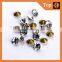 Ss10 Newly Design Wholesale Pointback Rhinestone