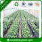 UV treated biodegradable 100% PP non woven weed control fabric in agriculture fabric