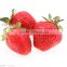 SW-LC12 2015 Strawberry Auto Weighing Machine-12 Head Linear Combination Weigher