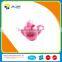 Funny Tea set toy