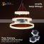 OEM Customized Downlights acrylic display shelf